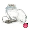 LBP - LRP Associes Cage De Chasteté Lock Up 9.4 X 3.2cm Transparente
