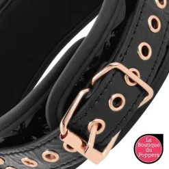 LBP - LRP Associes Collier Avec Pince-tétons Begme Noir 10 LBP - LRP Associes Collier Avec Pince-tétons Begme Noir -Poppers Soldes collier avec pince tetons begme noir 4