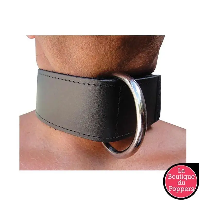 LBP - LRP Associes Collier BDSM Avec Scratch Et Anneau 2 LBP - LRP Associes Collier BDSM Avec Scratch Et Anneau – Image 2