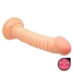 LBP - LRP Associes Gode Nervy 17 X 3.2cm -Poppers Soldes gode nervy 17 x 32cm 2