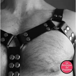 LBP - LRP Associes Harnais Simili Nail Noir