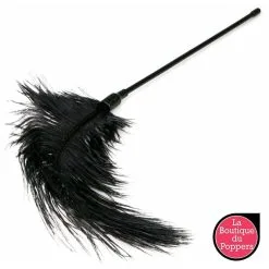 LBP - LRP Associes Plumeau à Caresses -Poppers Soldes plumeau a caresses 2