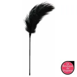 LBP - LRP Associes Plumeau à Caresses